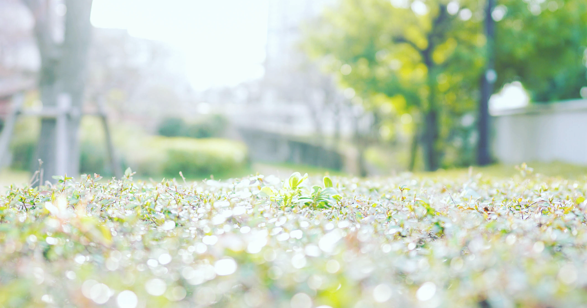 株式会社こころ 公式サイト